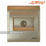 فیش آنتن ایران بژ
