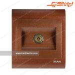 فیش آنتن ایران زرشکی